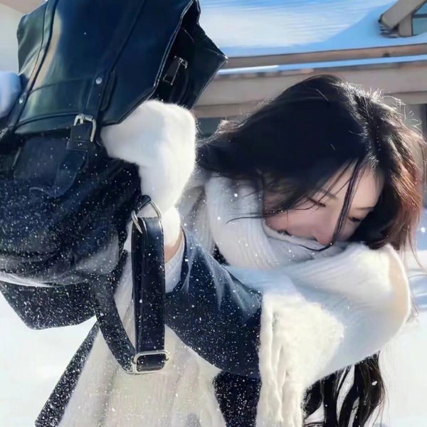 人狼游戏:疯狂的狐狸